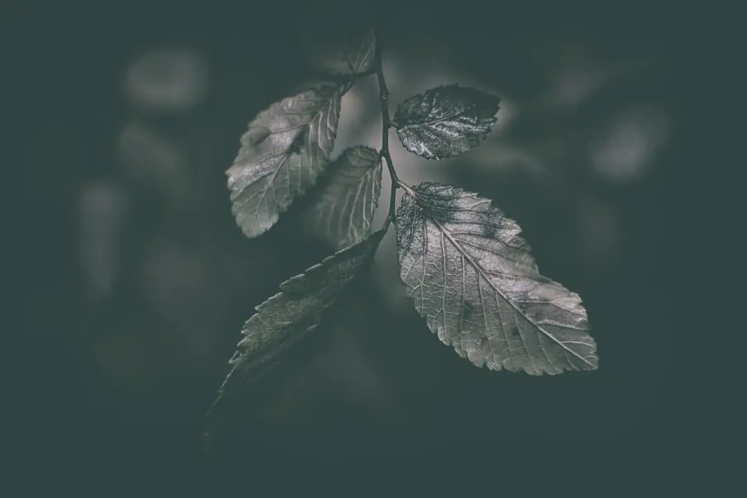 Hijyenik Tasarımda Paslanmaz Çeliğin Önemi 5 Hijyenik Tasarimda Paslanmaz Celigin Onemi 689083ff83892