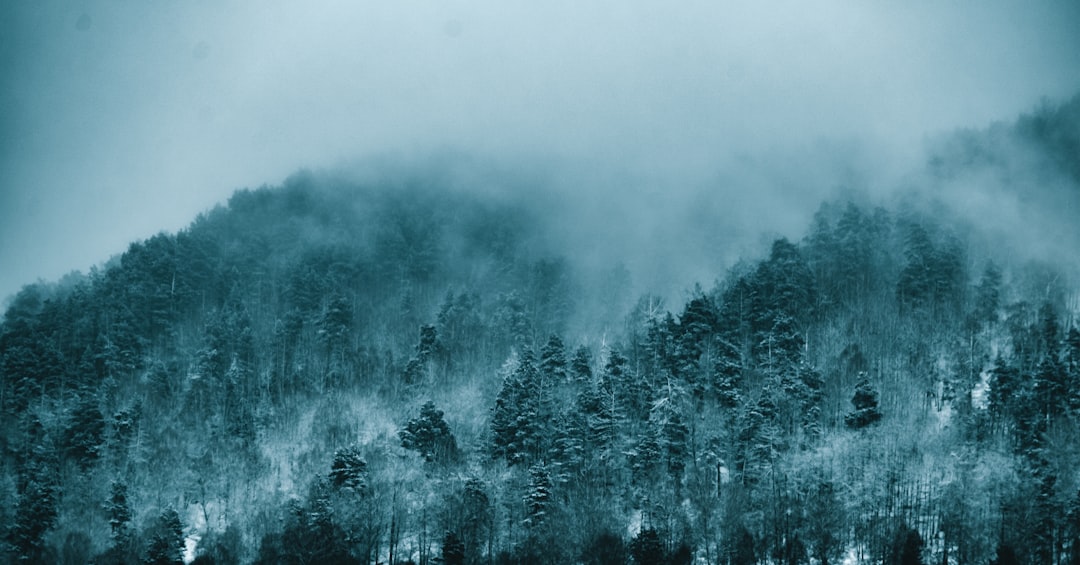 ORC Sistemlerinin Geri Dönüş Süresi ve Yatırım Verimliliği 1 ORC Sistemlerinin Geri Donus Suresi ve Yatirim Verimliligi 6897b019c60f3